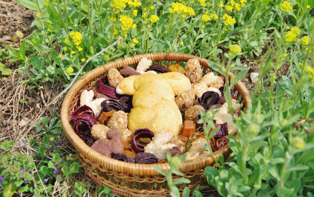 Osternest vegan ohne Zucker